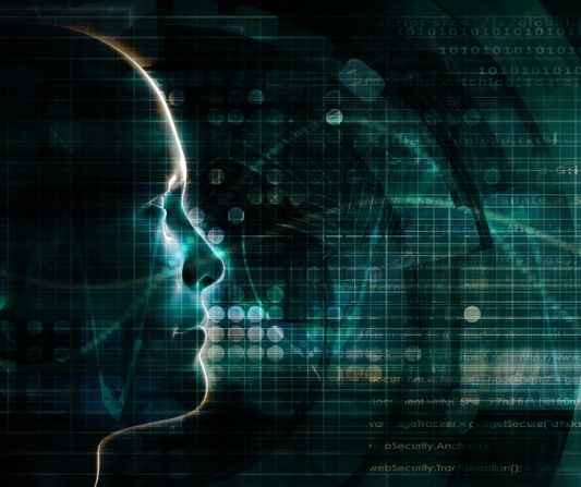 The Nature of Consciousness: A Journey into Awareness
